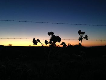 Silhouette trees on field against sky at sunset