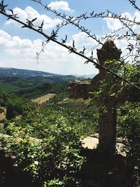 Scenic view of landscape against cloudy sky
