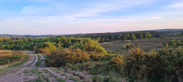 Scenic view of field against sky during sunset