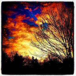 Silhouette of bare tree against dramatic sky