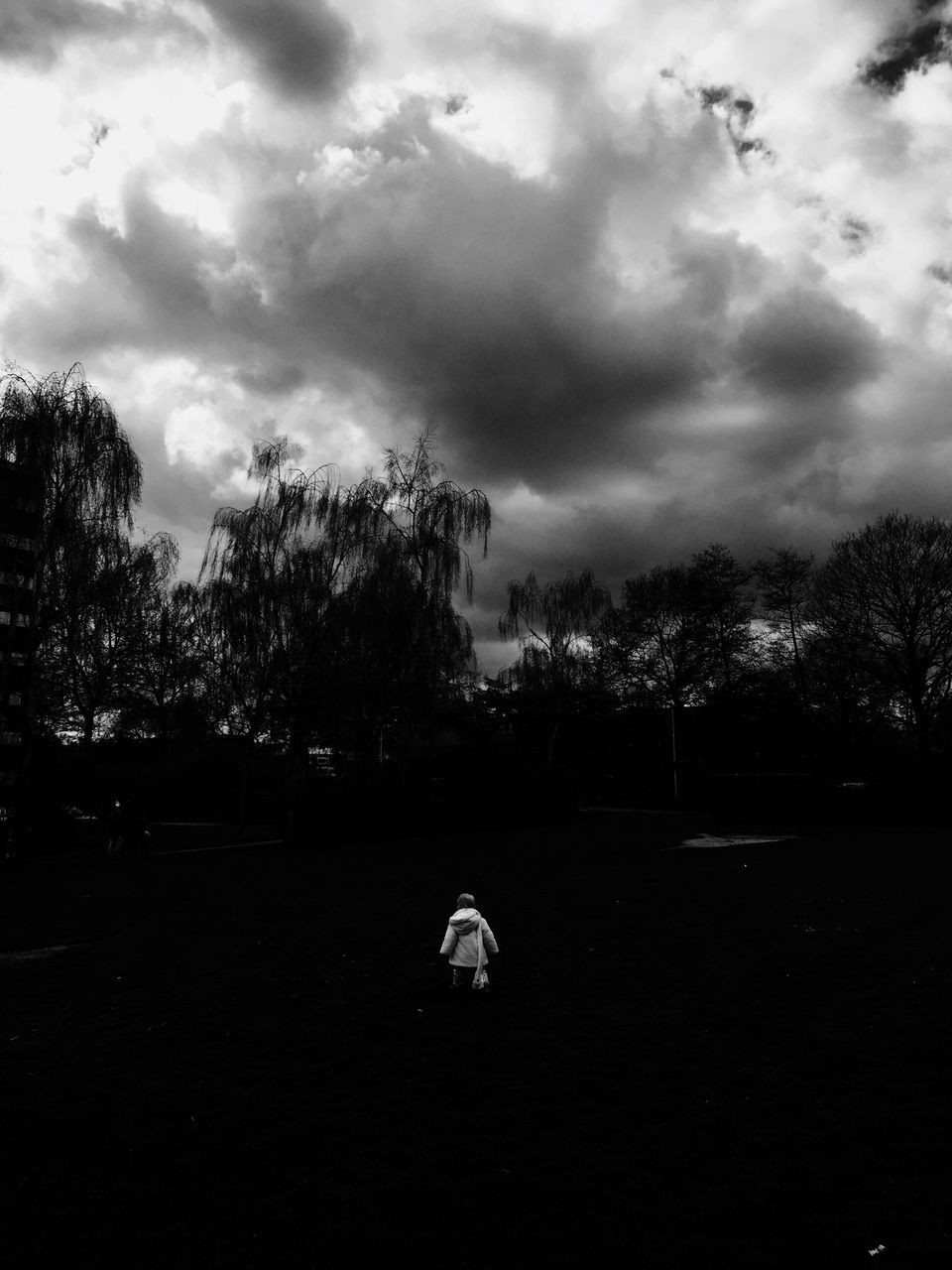 sky, tree, cloud - sky, cloudy, cloud, transportation, silhouette, tranquility, nature, field, tranquil scene, landscape, outdoors, grass, road, growth, day, scenics, beauty in nature, no people