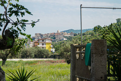 Houses and trees on field by buildings against sky