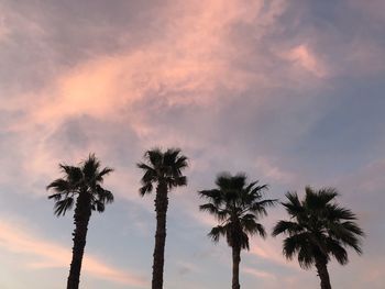 Palm trees against sky during sunset