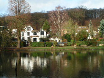 Houses by trees against sky