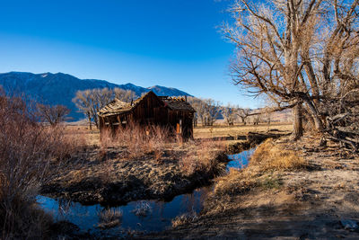 Abandoned house and trees on field against blue sky