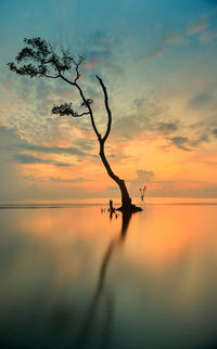 Silhouette tree by lake against sky during sunset