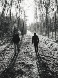 Rear view of men walking on footpath in forest