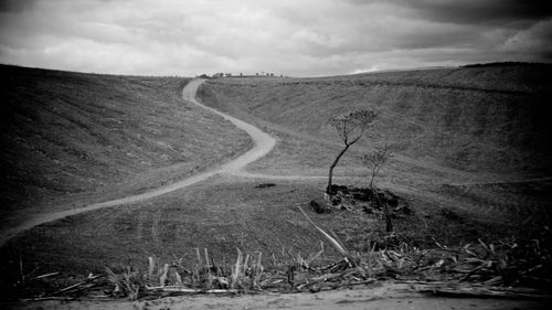 Tire tracks on road against sky