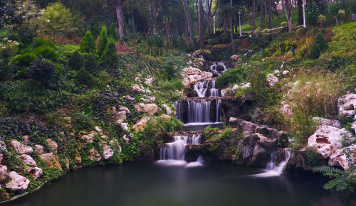 High angle view of waterfall in forest