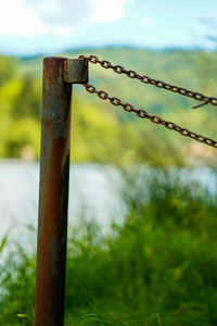 Close-up of rusty metal fence on field