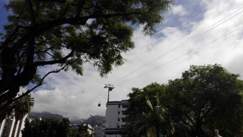 Low angle view of trees against sky