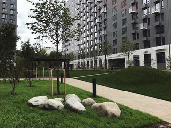 View of park with buildings in background