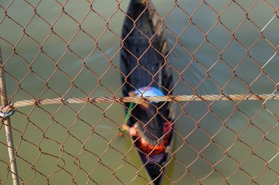 Rear view of man seen through chainlink fence