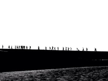 Reflection of trees in water
