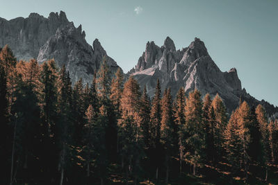 View of trees and mountains against sky