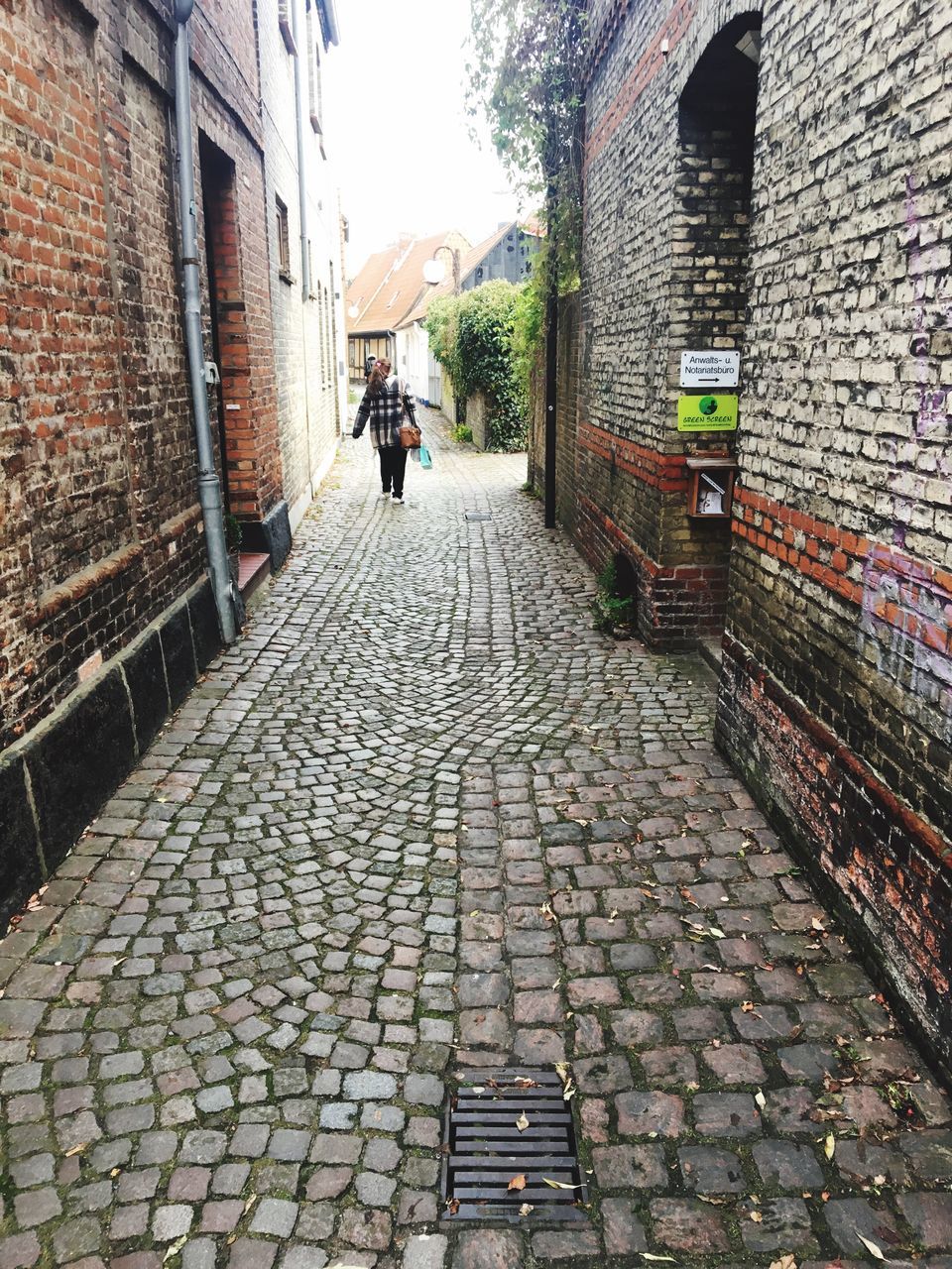 REAR VIEW OF WOMAN WITH DOG WALKING ON COBBLESTONE STREET