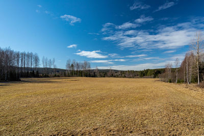 Scenic view of field against sky
