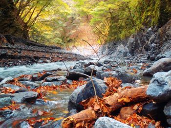 Stream flowing through rocks in forest