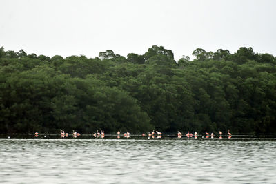 People on river by trees against clear sky