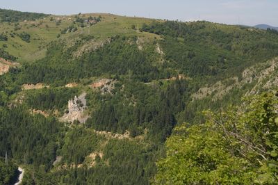 High angle view of trees on land