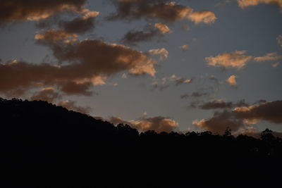 Silhouette of trees against sky at sunset