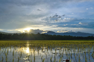 Scenic view of lake against sky during sunset