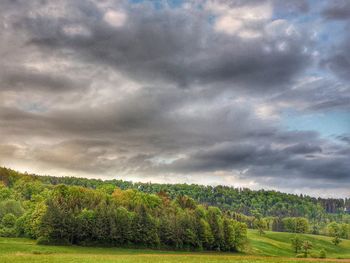 Scenic view of trees on field against sky
