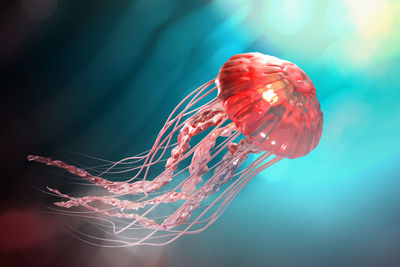 3d rendering of pink jellyfish floating in the dark blue ocean background with sunlight.