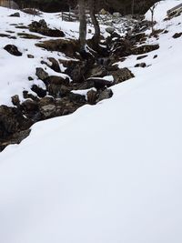 Scenic view of snow covered landscape