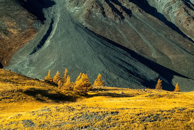 Scenic view of landscape