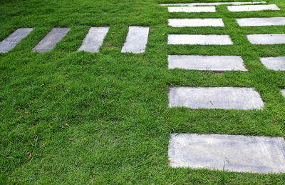 High angle view of stone on field