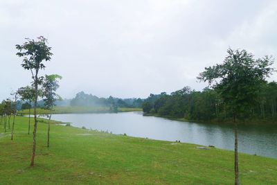 Scenic view of lake by field against sky