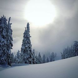 Scenic view of snow covered landscape