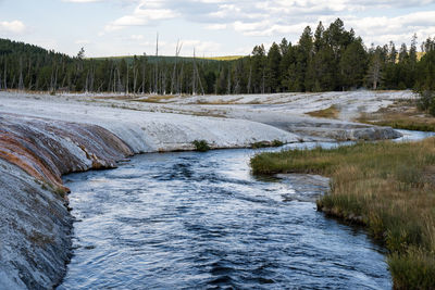 View of cliff geyser erupting at black sand basin at yellowstone national park