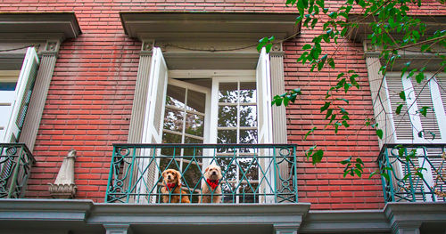 Low angle view of people outside building