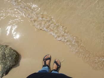 Low section of woman standing at beach