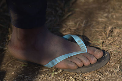 Low section of woman wearing shoes on land