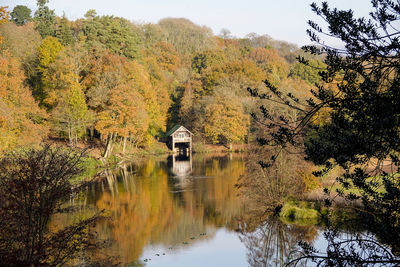 Scenic view of lake in forest during autumn