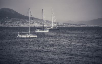 Sailboats sailing on sea against sky