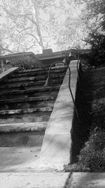 Man on steps by trees against sky