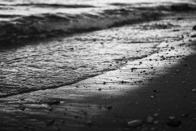 Surface level of footpath by sea