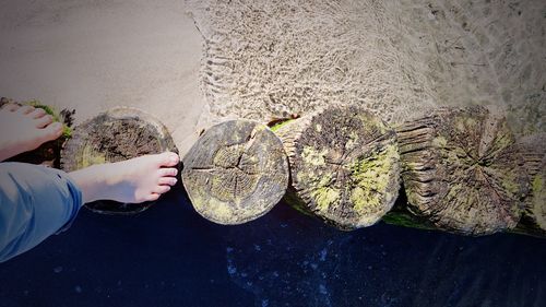 Low section of woman on rock