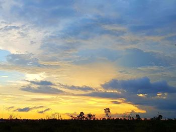 Silhouette birds on field against sky during sunset