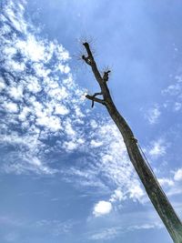 Low angle view of bare tree against sky