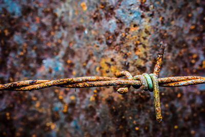 Close-up of rusty barbed wire