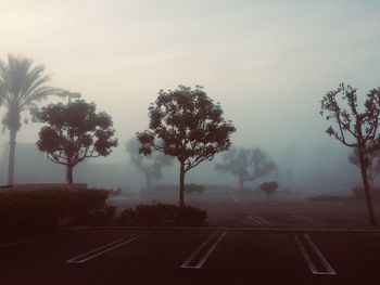 Empty road by trees against sky