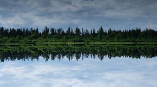 Reflection of trees on lake against sky
