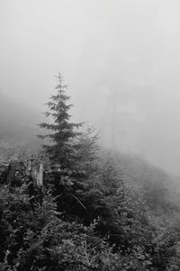 Snow covered landscape against sky