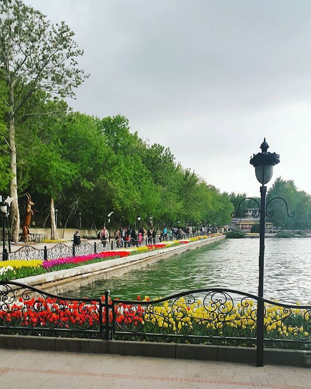 tree, water, railing, sky, tranquility, tranquil scene, street light, nature, river, scenics, sea, beauty in nature, lake, outdoors, lighting equipment, growth, park - man made space, bridge - man made structure, transportation, mountain