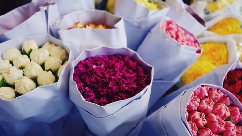 Colorful flowers for sale in flower shop